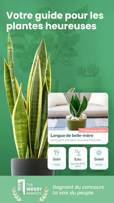 Blossom - Reconnaissez plantes screenshot 1