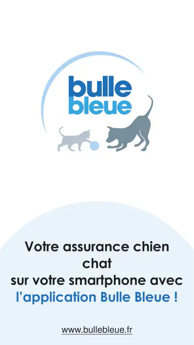 Bulle Bleue screenshot 1