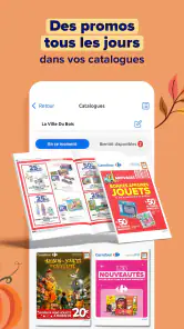 Carrefour France screenshot