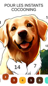 Color a Day: jeu de coloriage screenshot