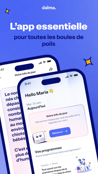 Dalma - Éducation & Assurance screenshot 1