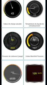 Diagnostic Tor OBD2 screenshot