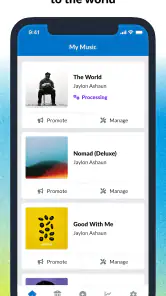 DistroKid screenshot