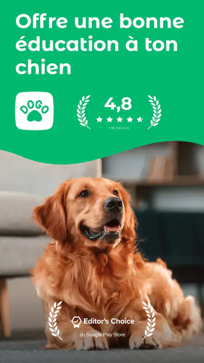Dogo – Bien éduquer ton chien screenshot 1