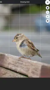 Drawing Grid screenshot
