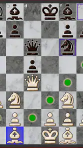 Échecs Pro (Chess) screenshot