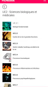 Fiches IDE screenshot