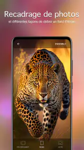 Fonds d'écran avec des animaux screenshot