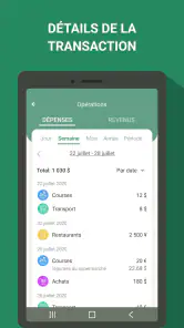 Gestion budget - dépenses screenshot