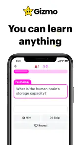 Gizmo: AI Flashcards and Tutor screenshot