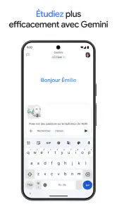 Google Gemini screenshot