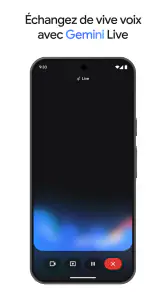 Google Gemini screenshot