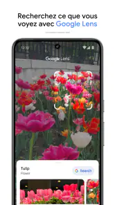 Google Photos screenshot