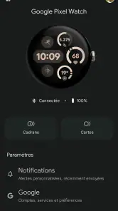 Google Pixel Watch screenshot