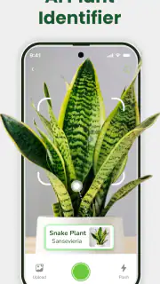 Identificateur de plantes screenshot 1