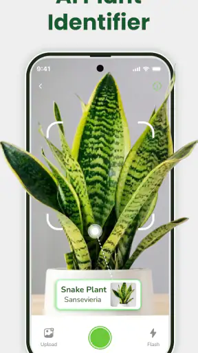 Identificateur de plantes screenshot 1