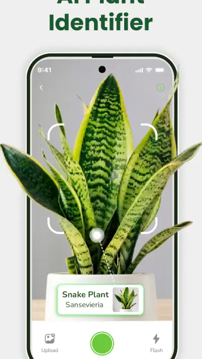 Identificateur de plantes screenshot 1