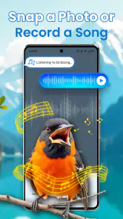 Identification des oiseaux screenshot 7