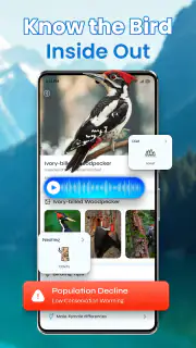 Identification des oiseaux screenshot 8