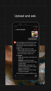 Le Chat by Mistral AI screenshot
