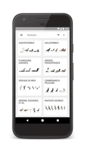 Le Guide Ornitho screenshot 1