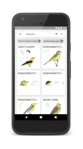 Le Guide Ornitho screenshot