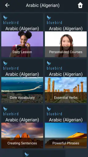 Learn Algerian Arabic. Speak A screenshot 1