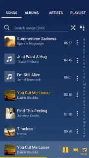 Lecteur de musique screenshot 3