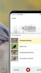 Merlin Bird ID par Cornell Lab screenshot