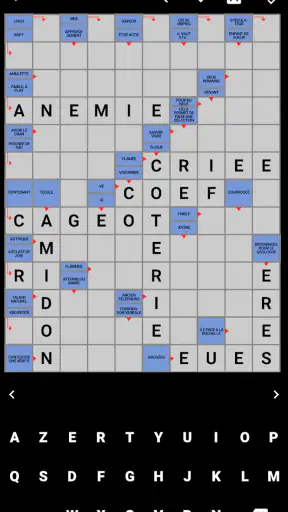 Mots Fléchés Français screenshot 1