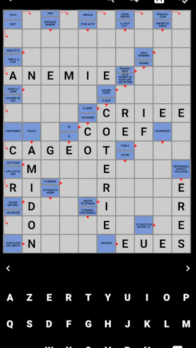 Mots Fléchés Français screenshot 1