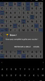 Mots Fléchés Français screenshot 3