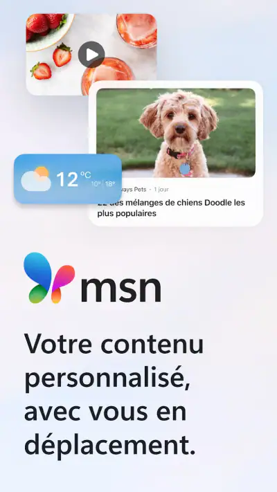 MSN screenshot 1