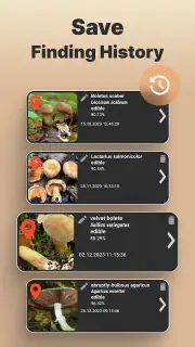 Mushromizer screenshot 4