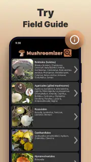 Mushromizer screenshot 5