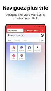 Navigateur Vivaldi : Rapide screenshot