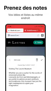 Navigateur Vivaldi : Rapide screenshot