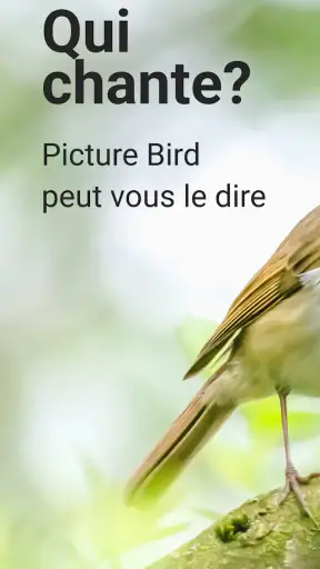 Picture Bird - Bird Identifier screenshot 1