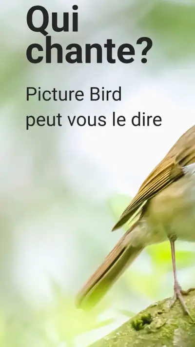 Picture Bird - Bird Identifier screenshot 1