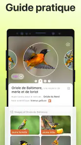 Picture Bird - Bird Identifier screenshot