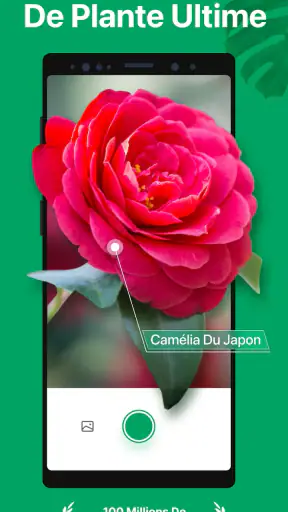 PictureThis Plante Identifier screenshot 1