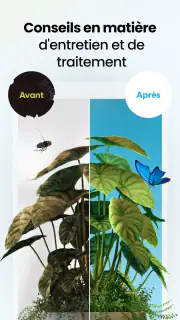 Plant App - Identifiant Plante screenshot 4