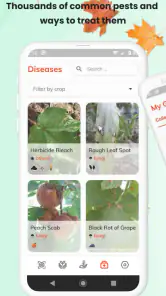 PlantID - Identifier plantes screenshot