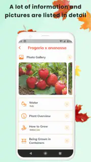 PlantID - Identifier plantes screenshot 5