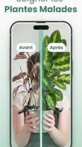 Plantify: Plante Identifiant screenshot