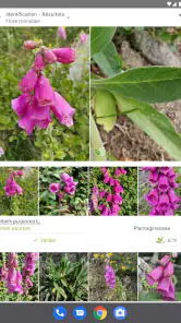 PlantNet Identification Plante screenshot