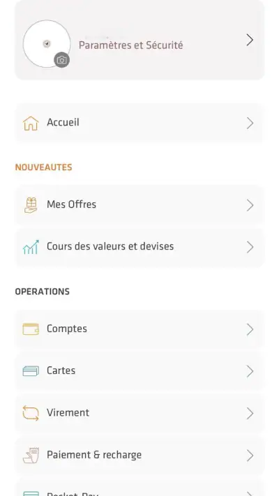 Pocket Bank screenshot 1