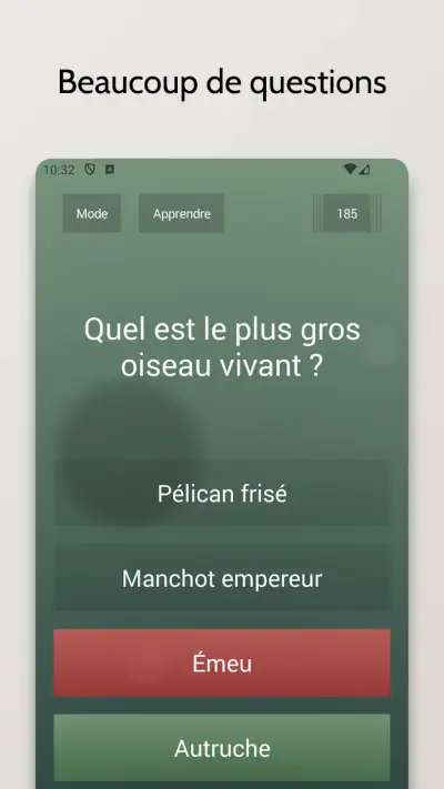 Quiz sans fin screenshot 1