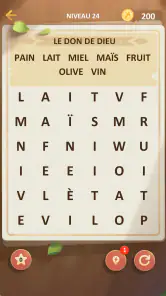 Recherche de Mots Bibliques screenshot