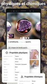 Rock Identifier: Roche, Pierre screenshot